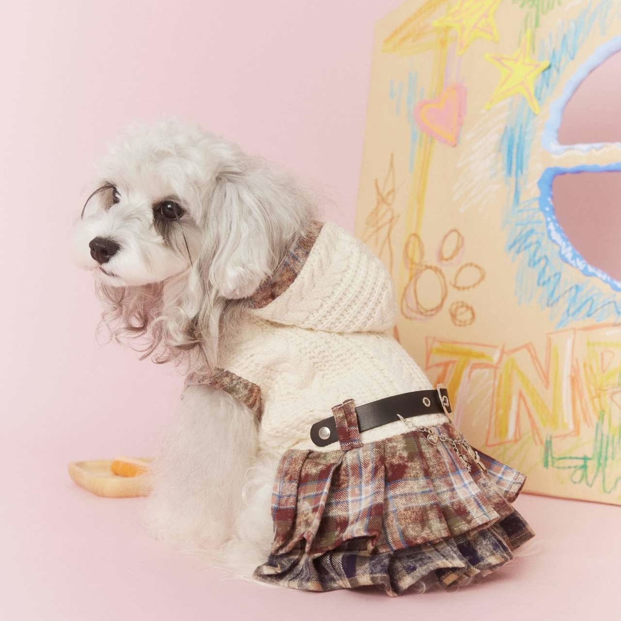 image_D9AA332F-E76E-417C-8DE6-633E2551423F_1767694981