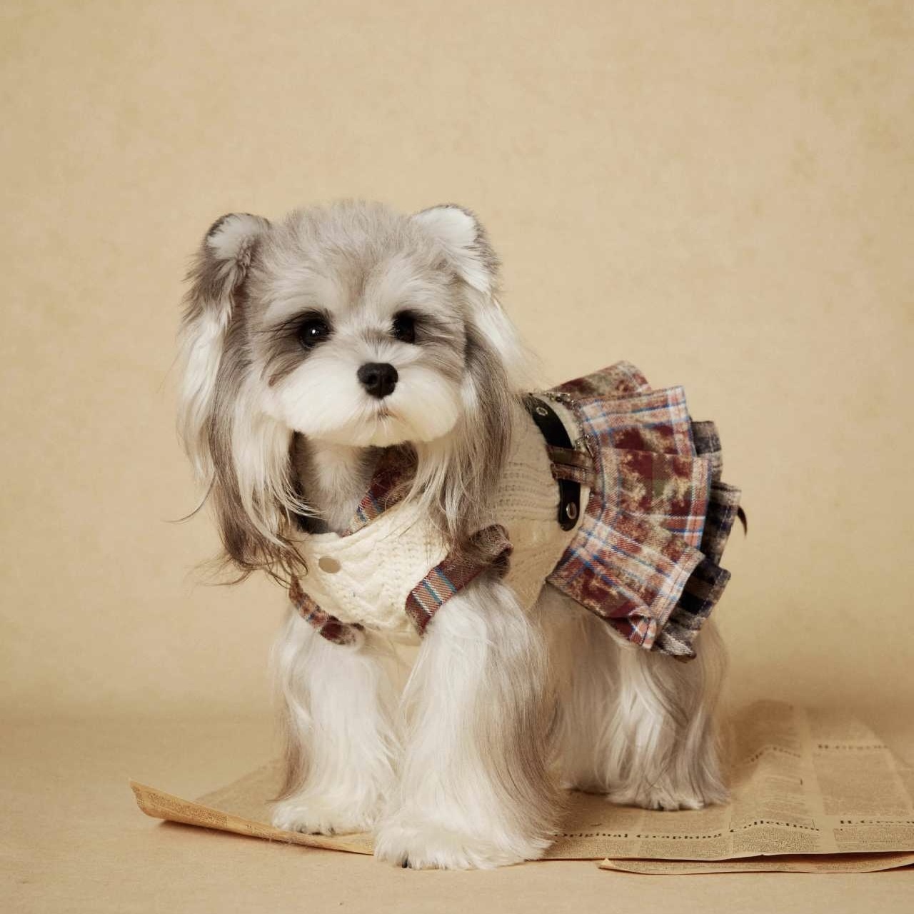 image_5A1FE929-1867-4F9C-BCC3-A6F4B58EE77F_1767694981