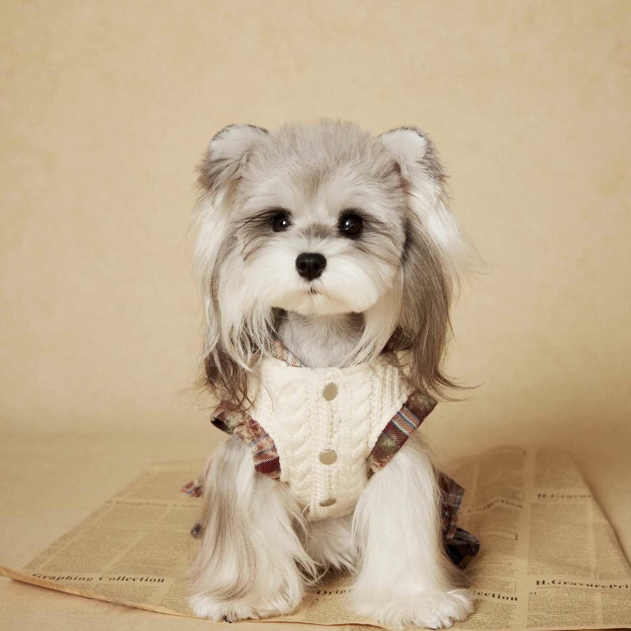 image_09B15AF3-6621-4EFA-879F-6AB0EE8F127D_1767694981