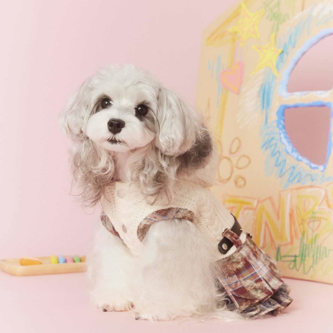 image_307E04DC-07E2-495D-9273-6616AAB3A197_1767694981