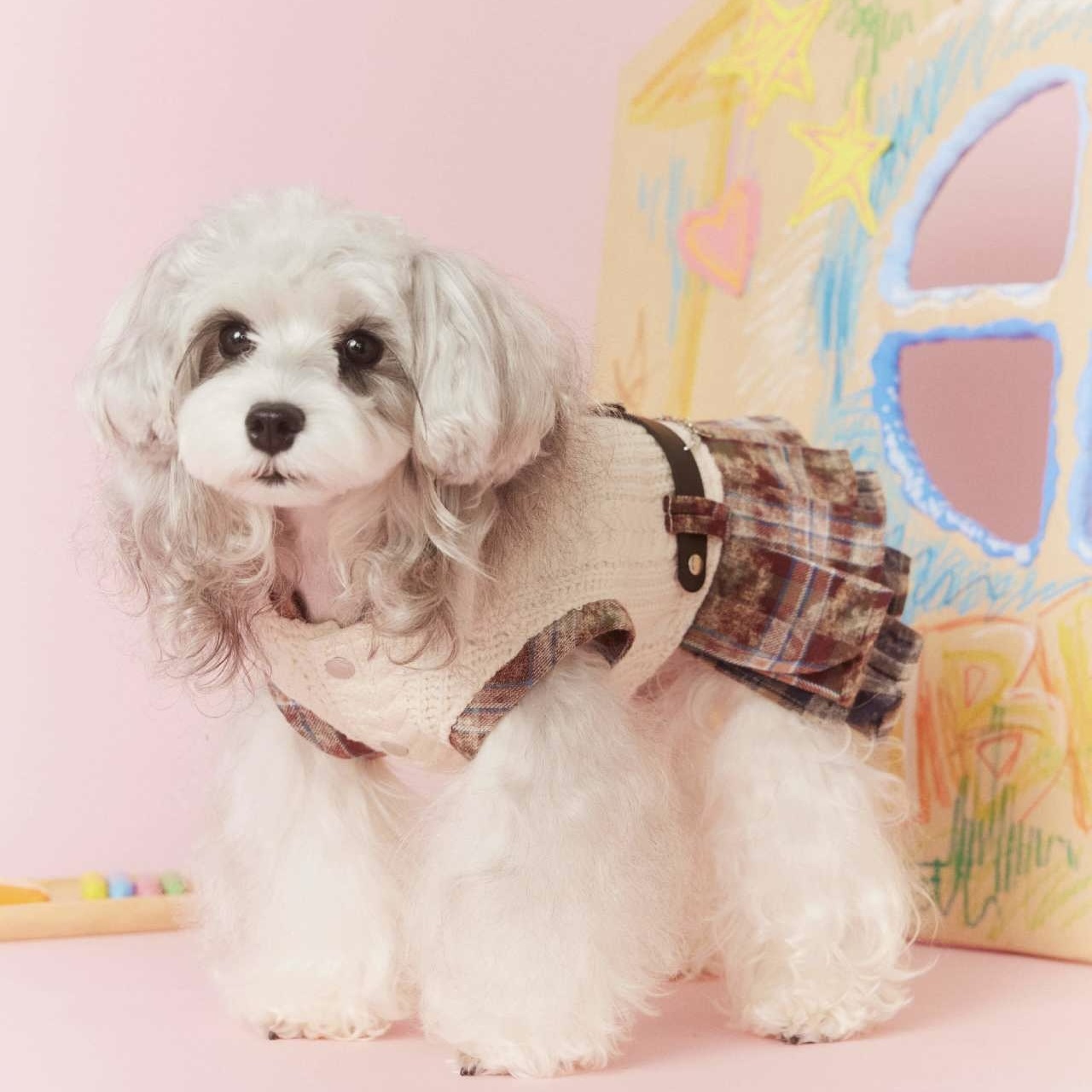 image_7AE31C2D-579F-42E2-8A20-F01C498836F9_1767694981