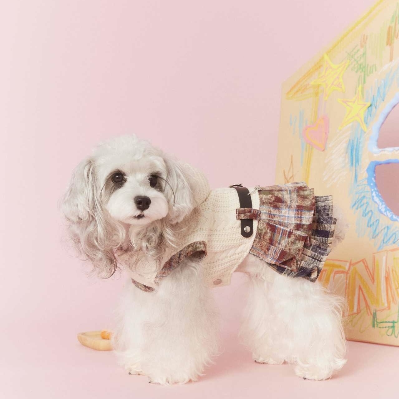 image_648B9517-2D38-4A24-A0F1-E729AFED126C_1767694981