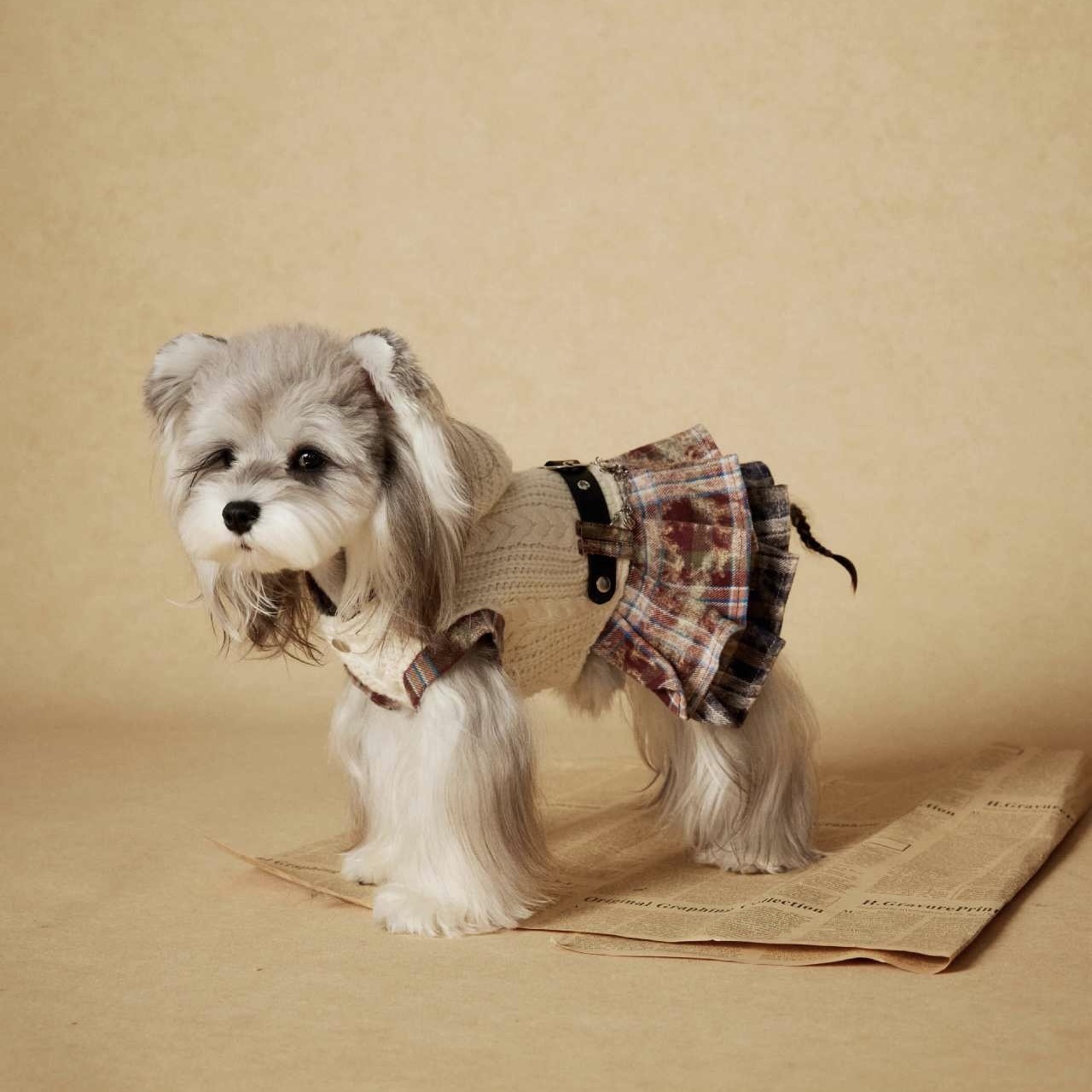 image_D9BAFAE4-355F-48A9-BC62-A3611B68F2CF_1767694981