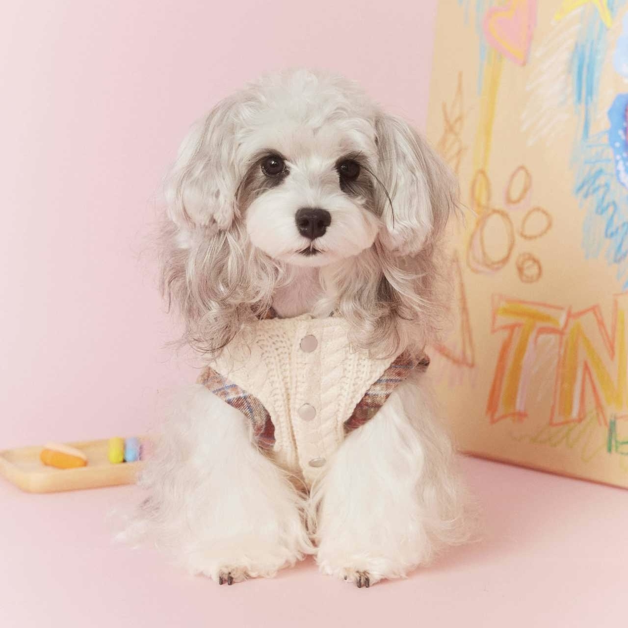 image_14D9DDDA-118B-4880-9519-B74B7541E9D0_1767694981