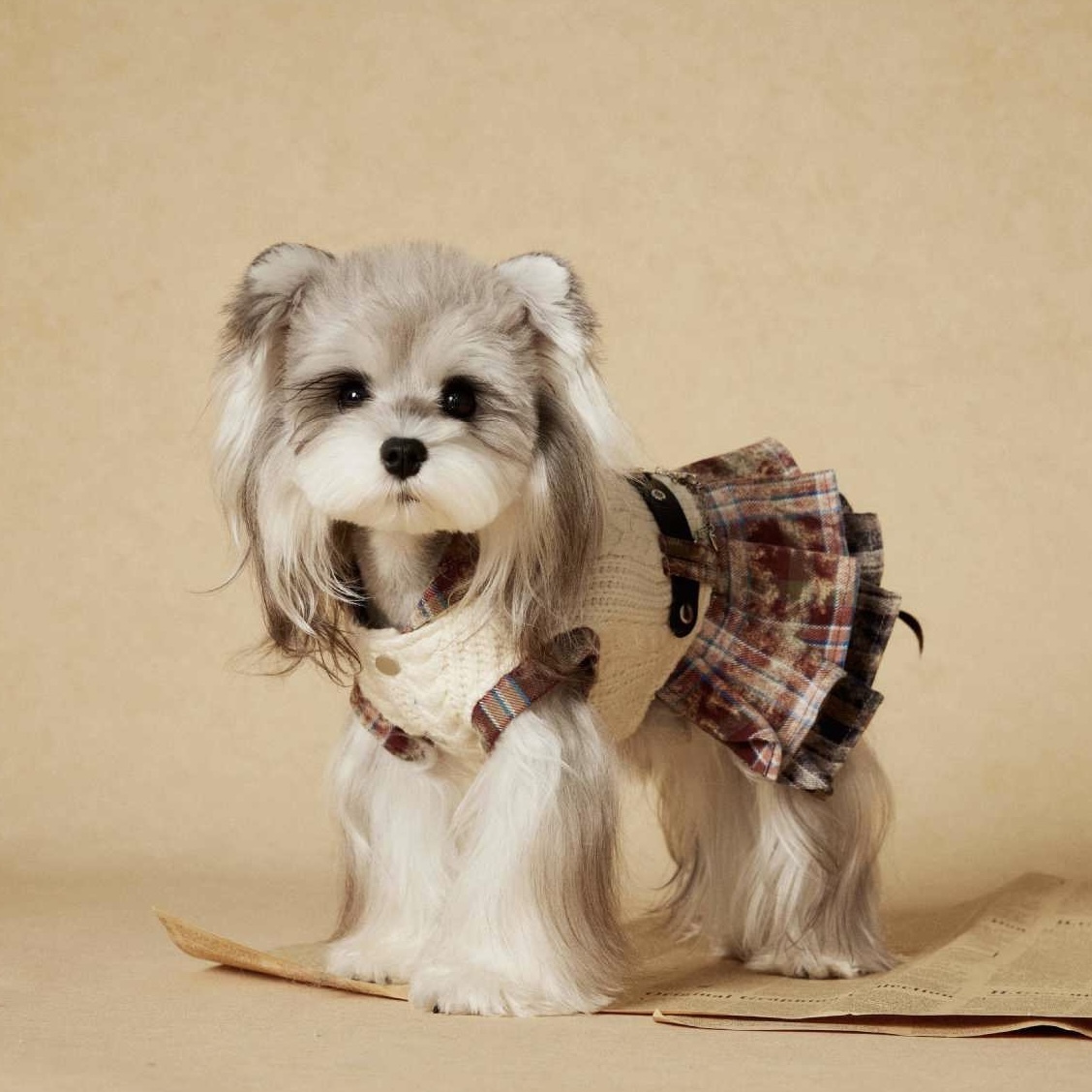 image_FA96547E-A86F-4006-9513-025B6163DAEF_1767694981