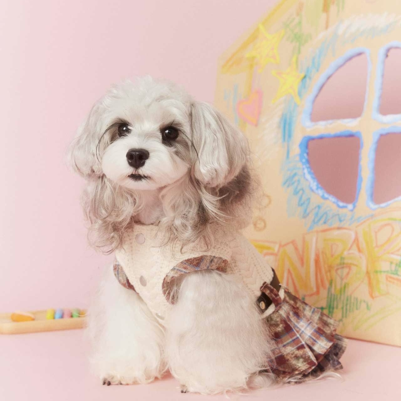 image_DD0AE538-0DFE-4C07-AAEF-9A0F89DE1003_1767694981