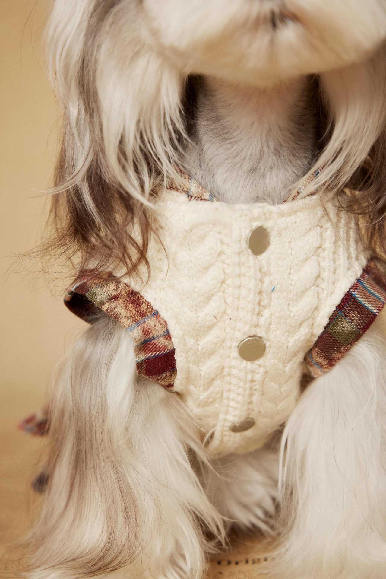 image_4A4D4B83-C505-4BDE-863D-E77D6EF4EDA3_1767694981