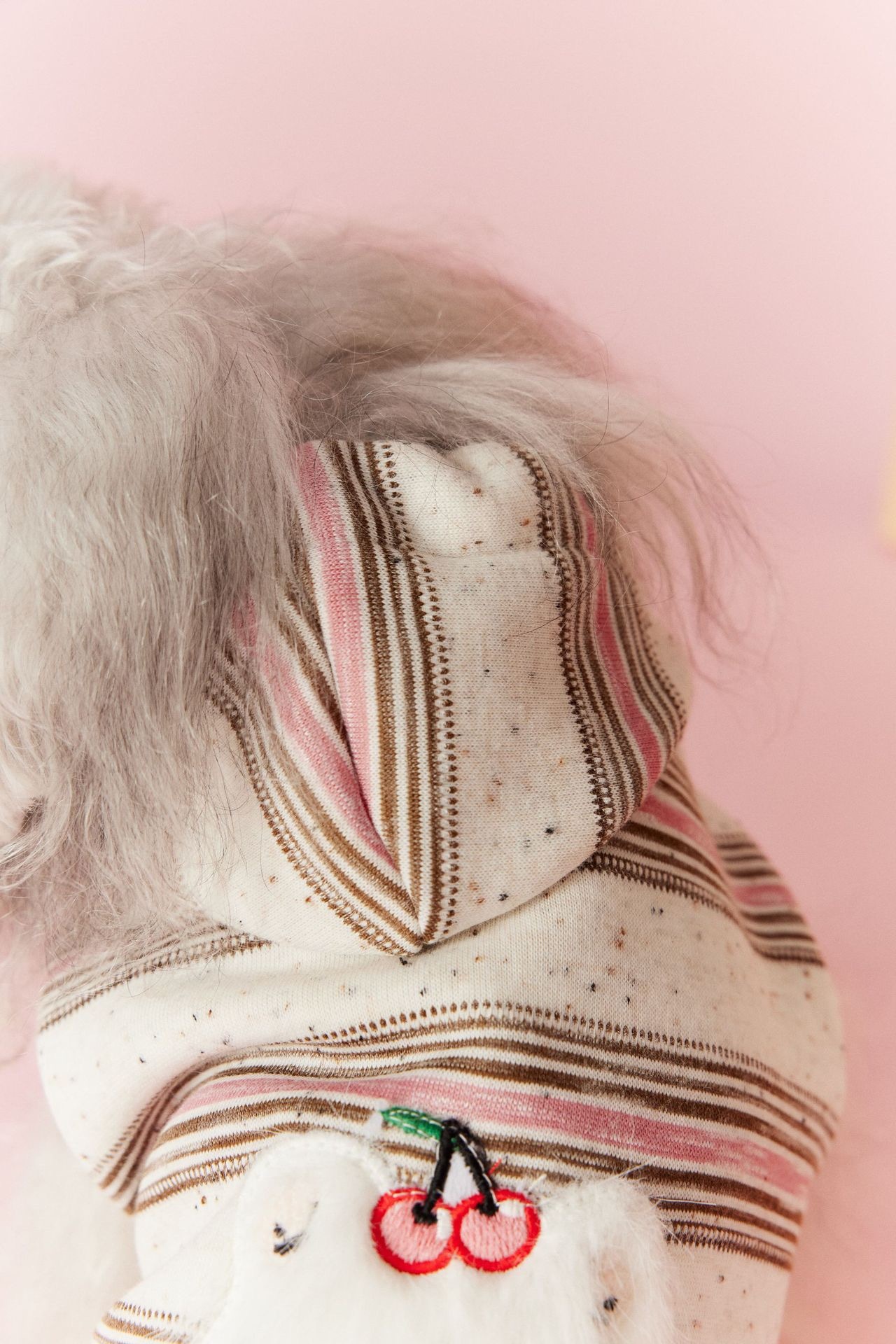 image_48788E7E-E0E3-4BB5-A1AC-8E34155A272D_1767695290