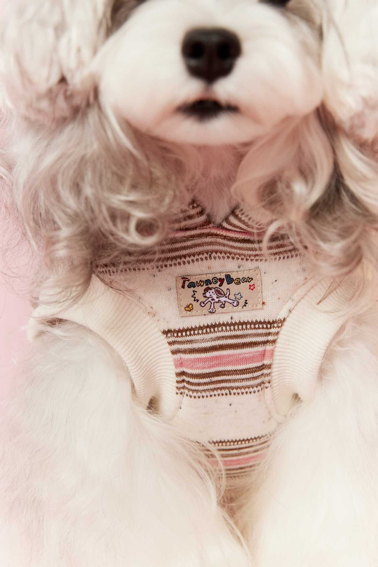 image_353BE3F5-A759-4AA0-80F6-A579A9B327F0_1767695290