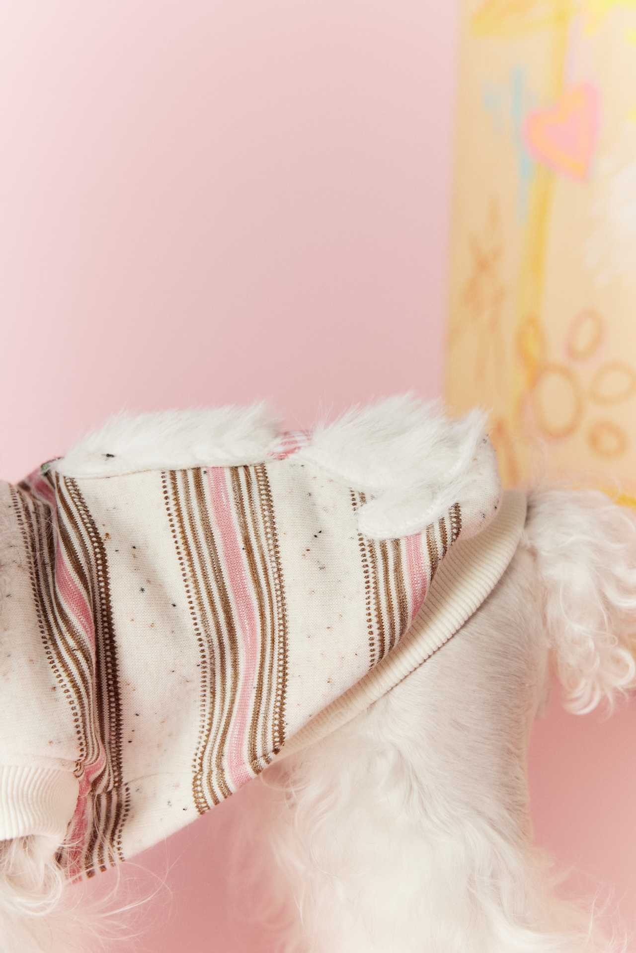 image_DCCA8DCE-200B-45E1-BFE7-60B98136ED4E_1767695290