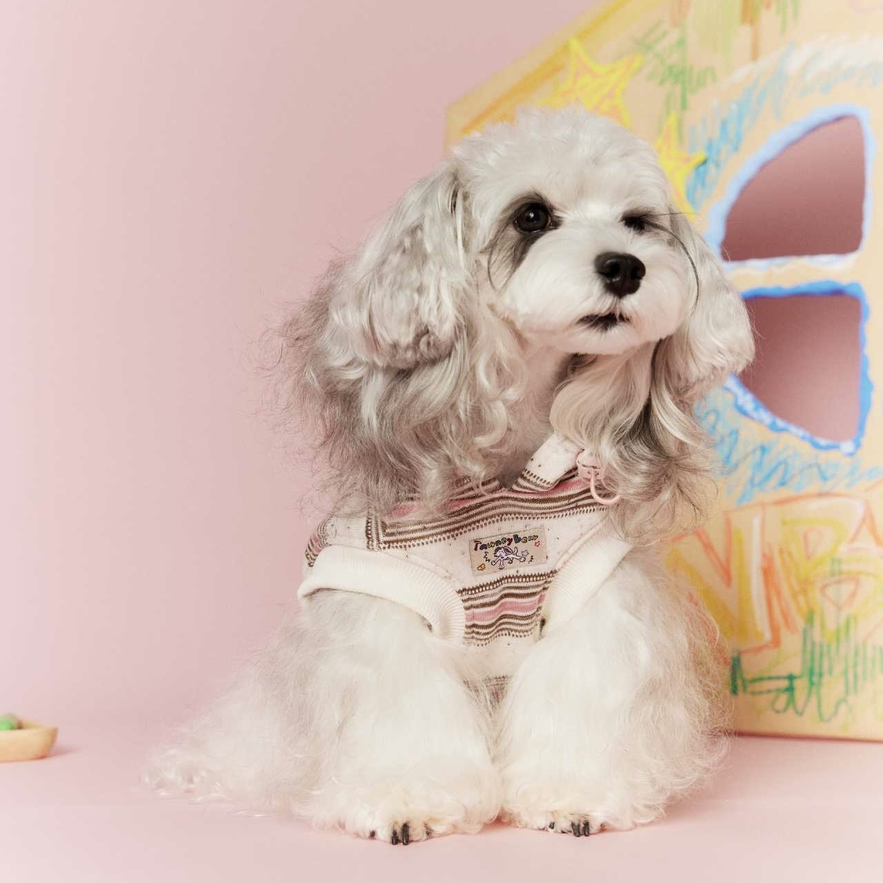 image_6C024C64-827E-478D-A74E-018E663978B8_1767695290