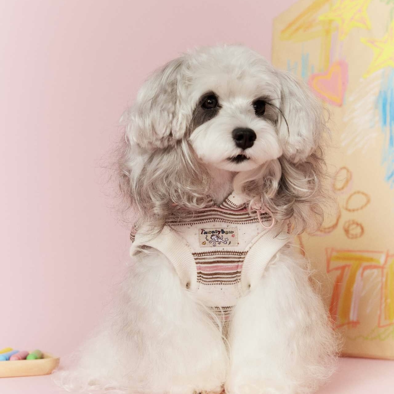 image_69E66C31-1F9E-4107-83C2-4237B38C9F47_1767695290