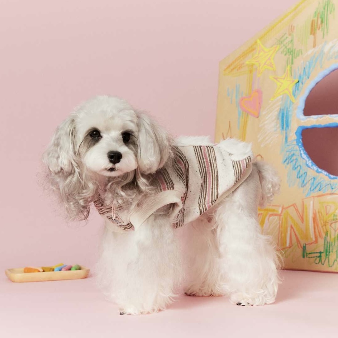 image_2450525E-E9E5-481D-8D0E-74547A3A5290_1767695290