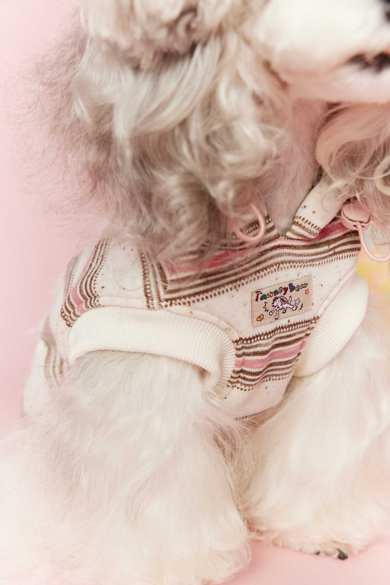 image_824255E2-3047-4DEA-BE43-10FB8981E324_1767695290