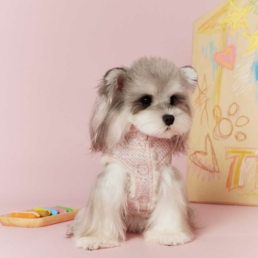 image_9BE1EA48-40AF-4EB4-81B5-78816FD17649_1767696150