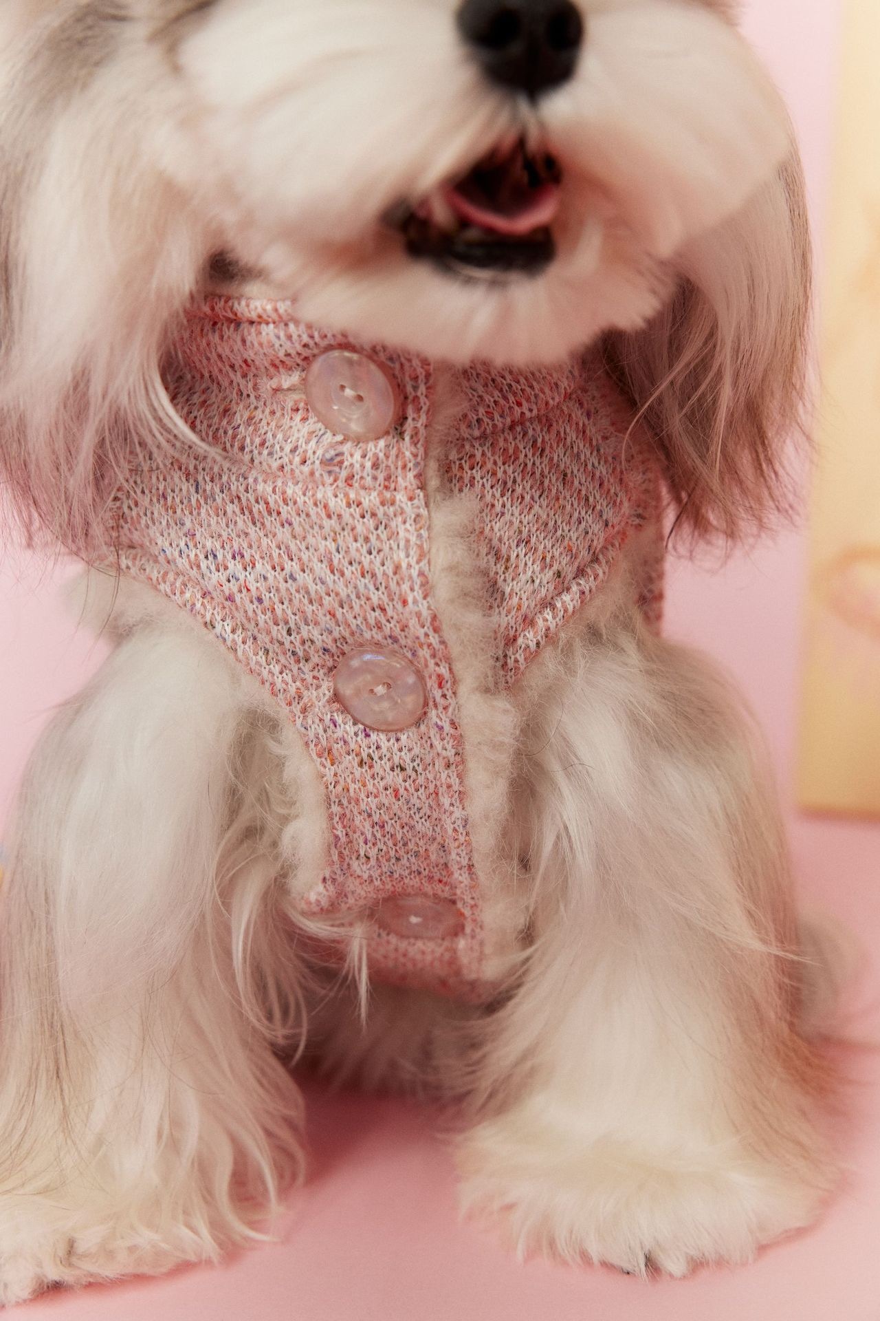 image_89C581DC-86DA-487B-8870-D4696368947E_1767696150