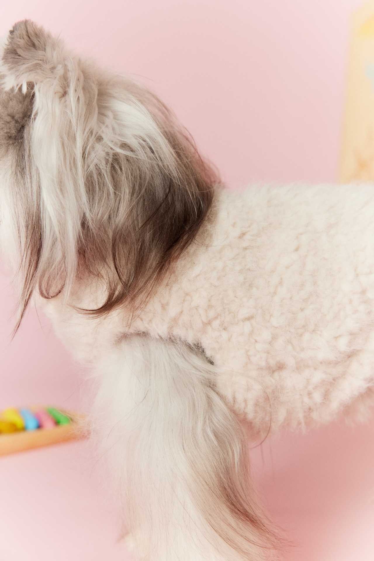 image_624287A1-F268-456C-8F3D-1E9B863DE27D_1767696150