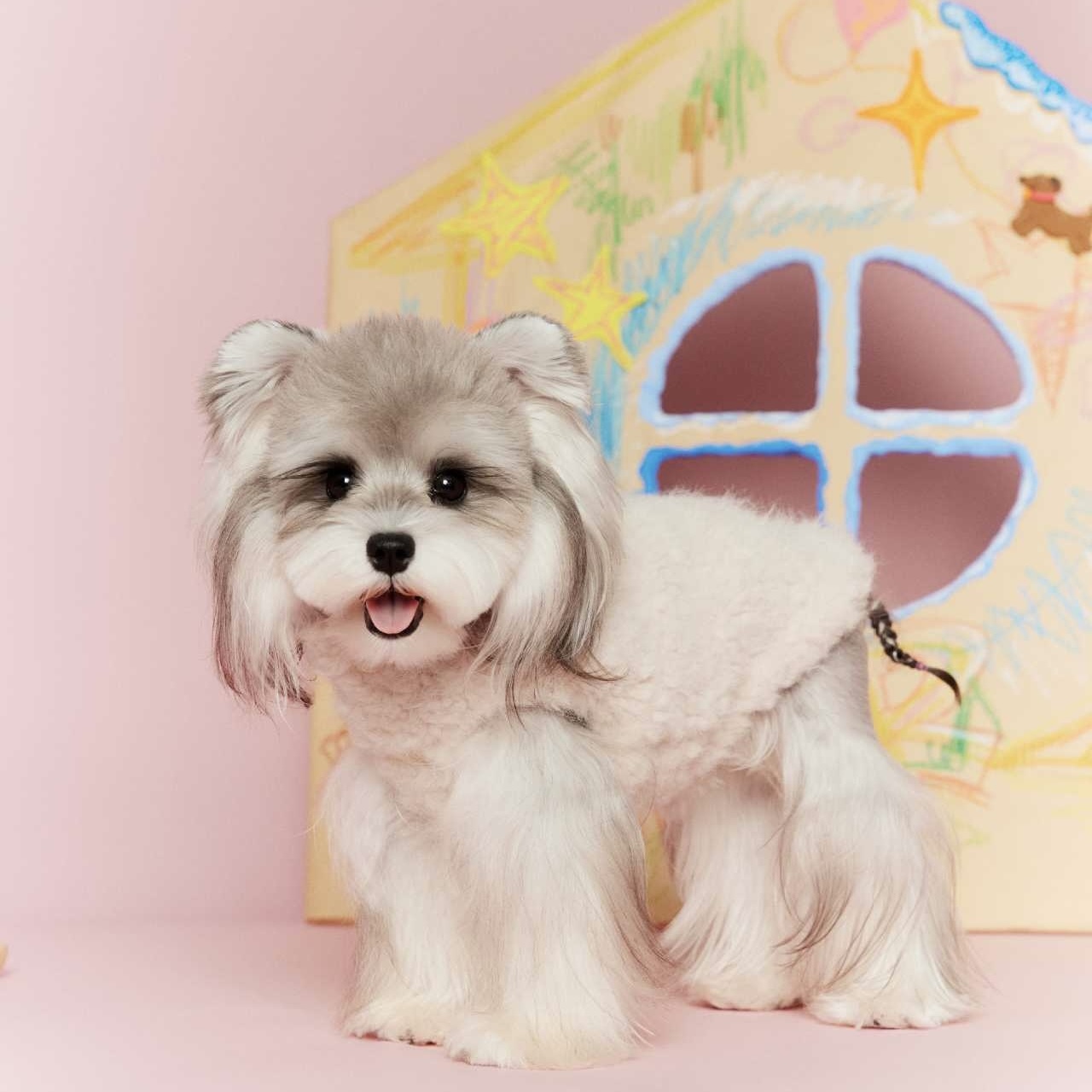 image_142051A4-5C00-4F2F-A9D0-5104CF0396E0_1767696150