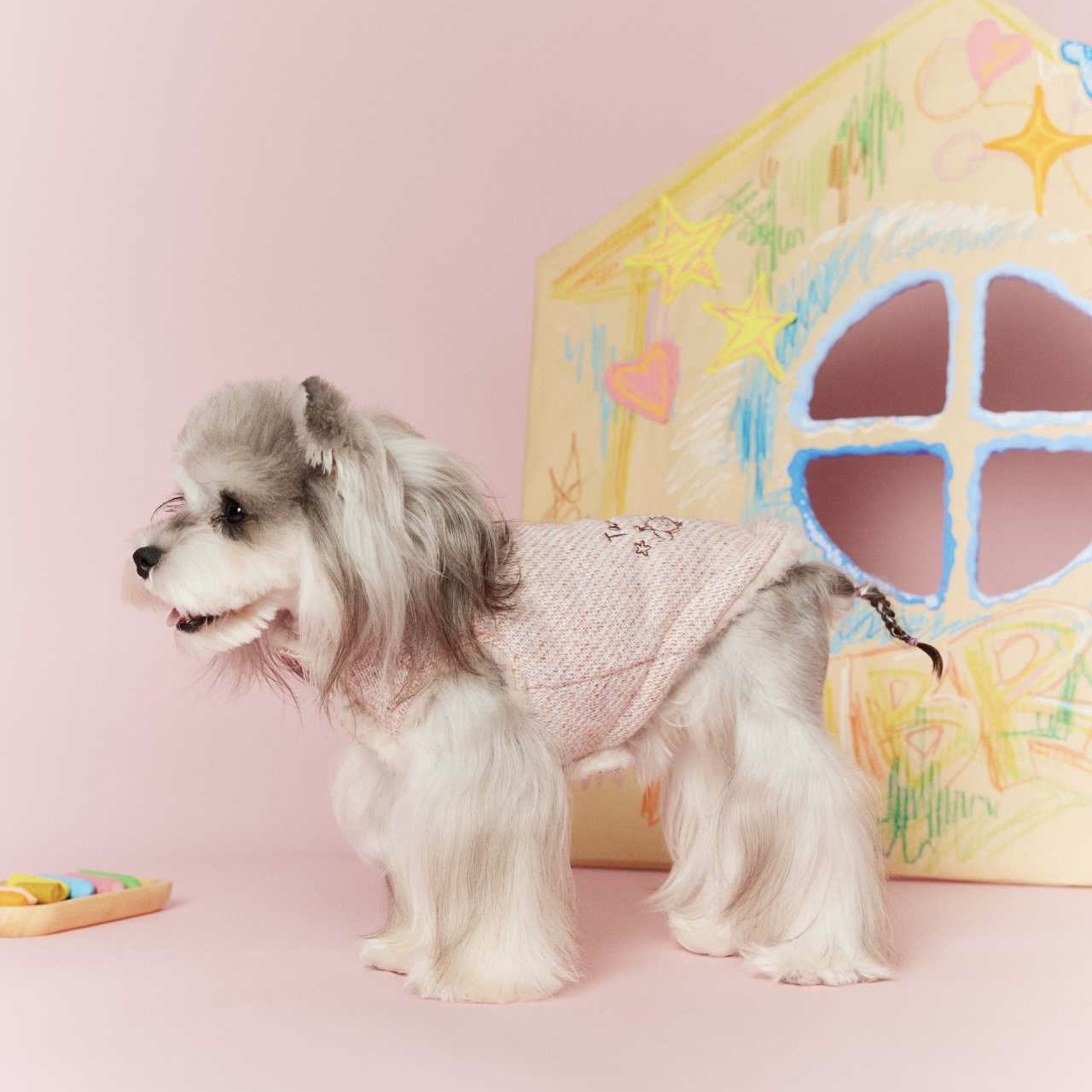 image_D3B5FC39-FA4E-463D-A22E-021F29B54E6E_1767696150