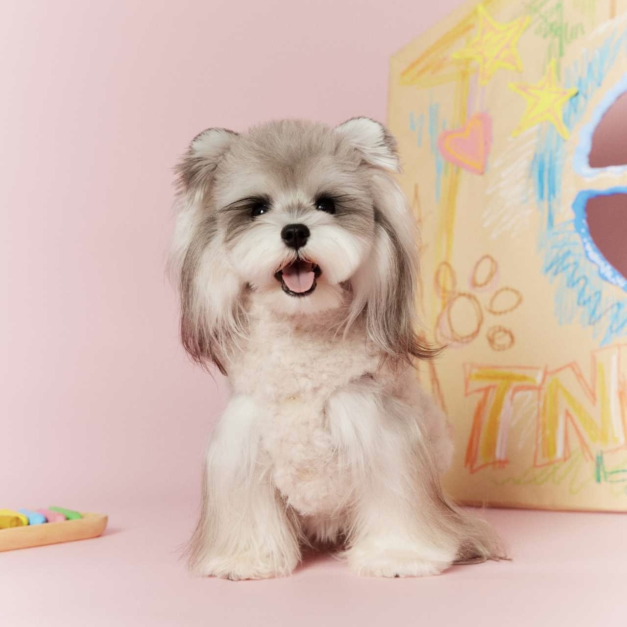 image_95E9C953-62F0-42B0-B4F6-E3EB63C44BFE_1767696150