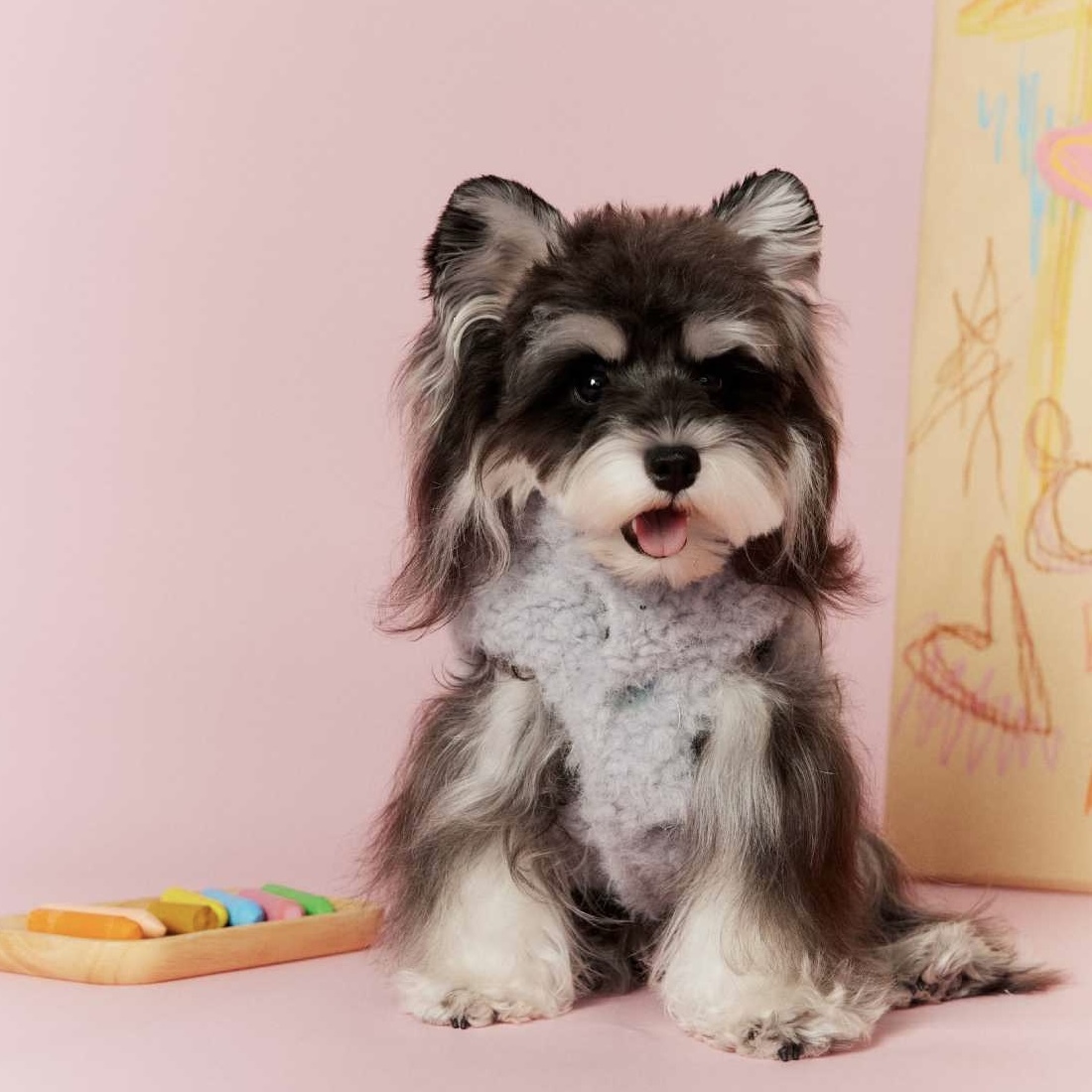 image_4AF587FD-2B27-4D3B-BA61-5853A541C8D6_1767696520