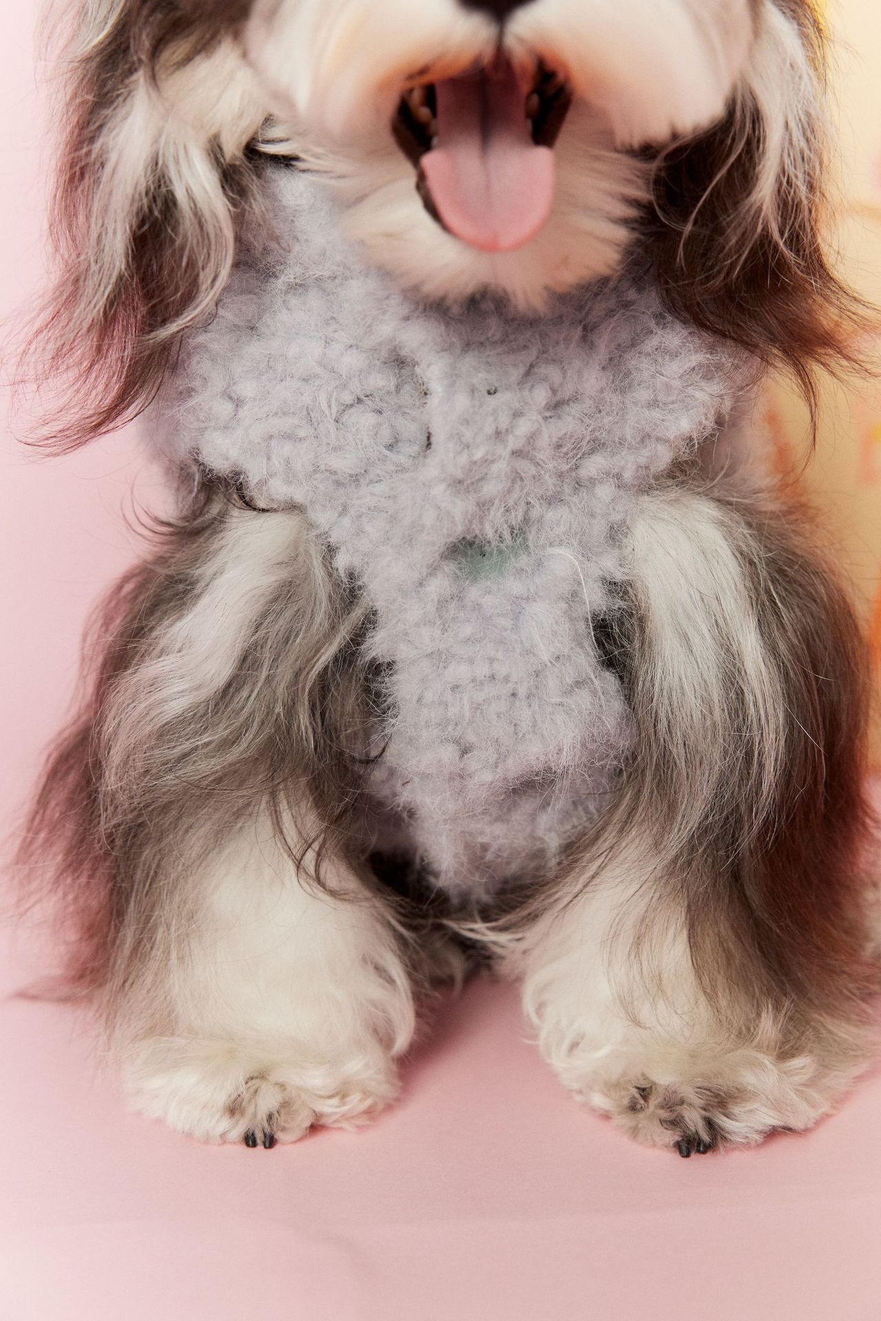 image_ABE8DC46-438E-41DF-A081-48FDE1DBCF6D_1767696520