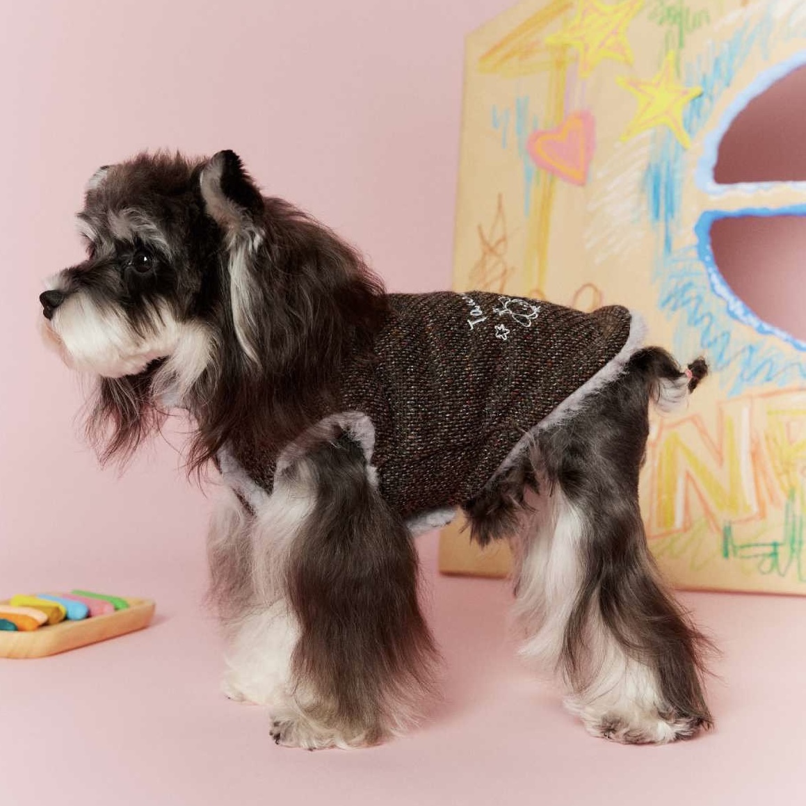 image_894FB04C-C5A5-456B-B201-610B789576AA_1767696520