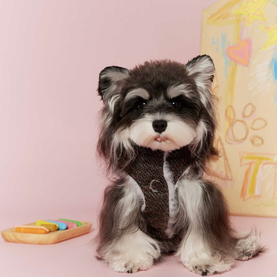 image_62281E9E-7D40-4DF9-A2DF-F3781122A6E3_1767696520