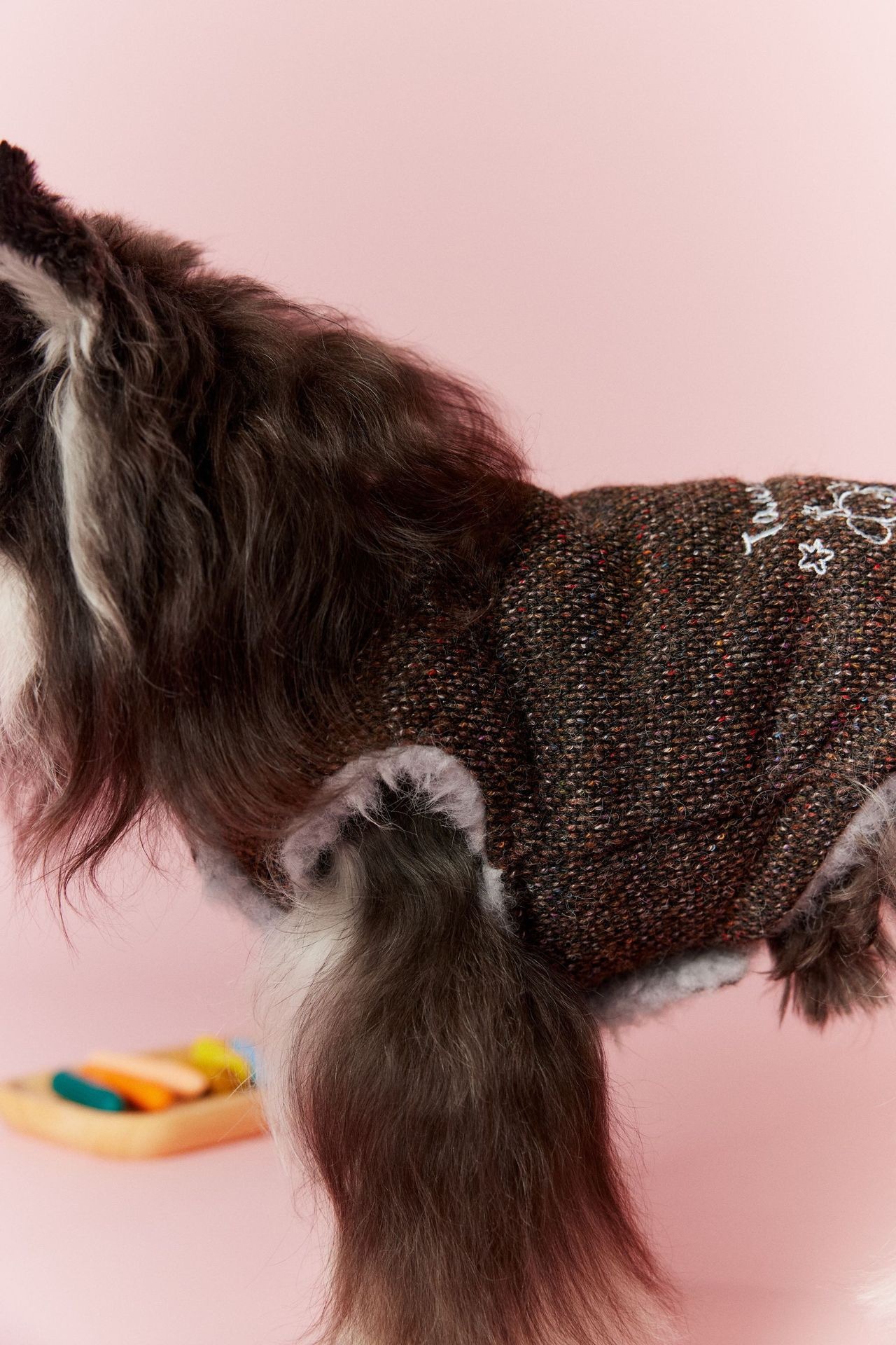 image_D7A0CC89-D0E2-40A7-BAAA-6E00C34992F4_1767696520