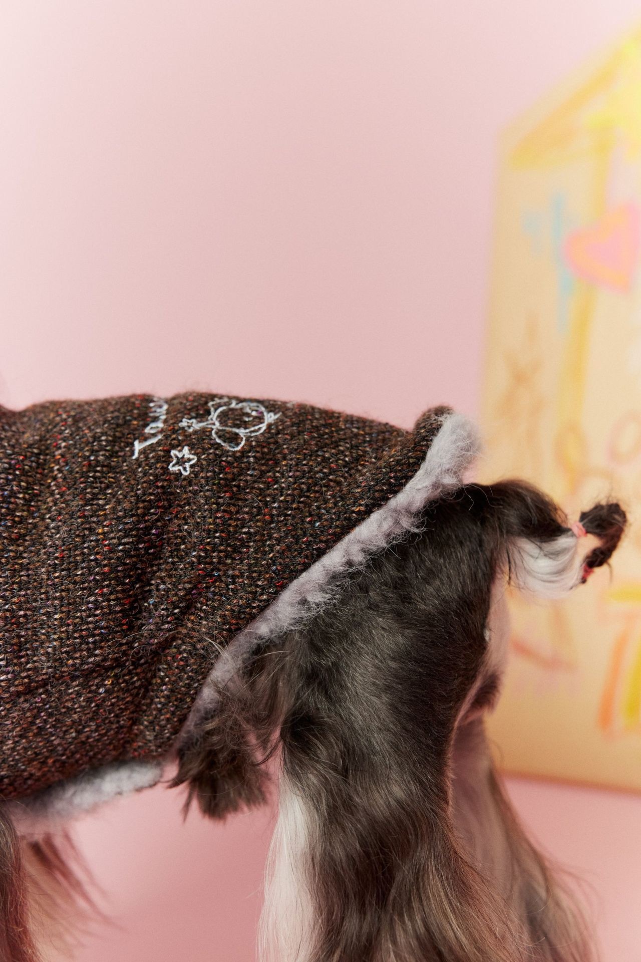 image_43F6988E-0DEE-4D9F-A053-C4B2ED641686_1767696520