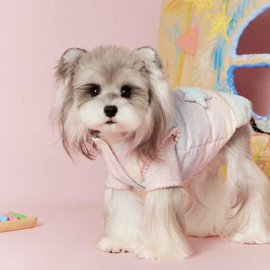 image_D9B22088-8174-4C87-A478-206D5130538F_1767697222