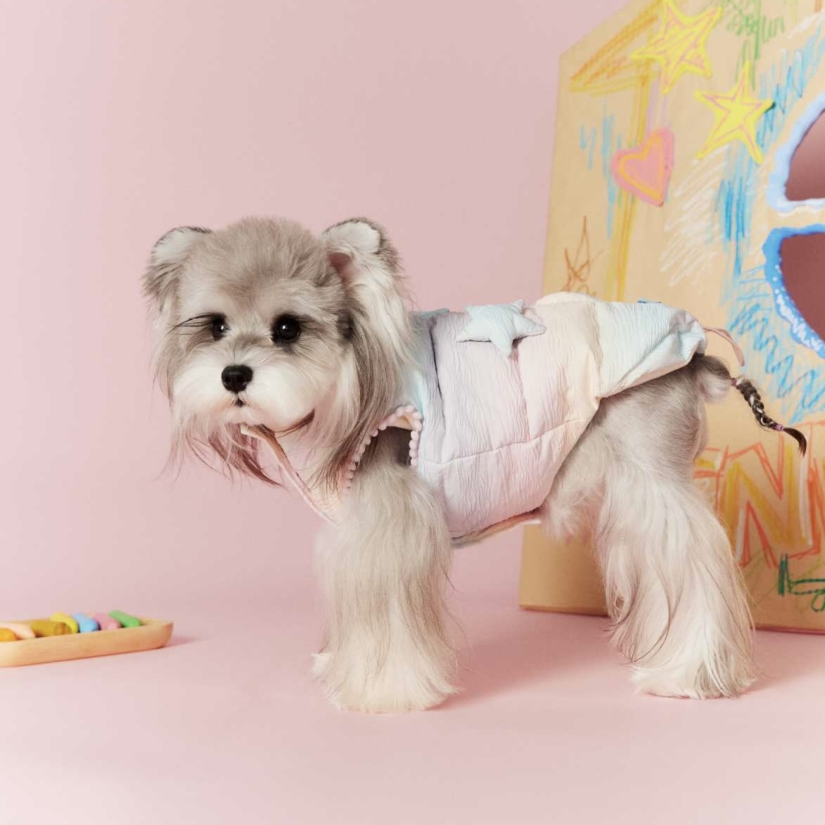 image_7D7723DF-A4EA-44A1-AE1F-019728640373_1767697222