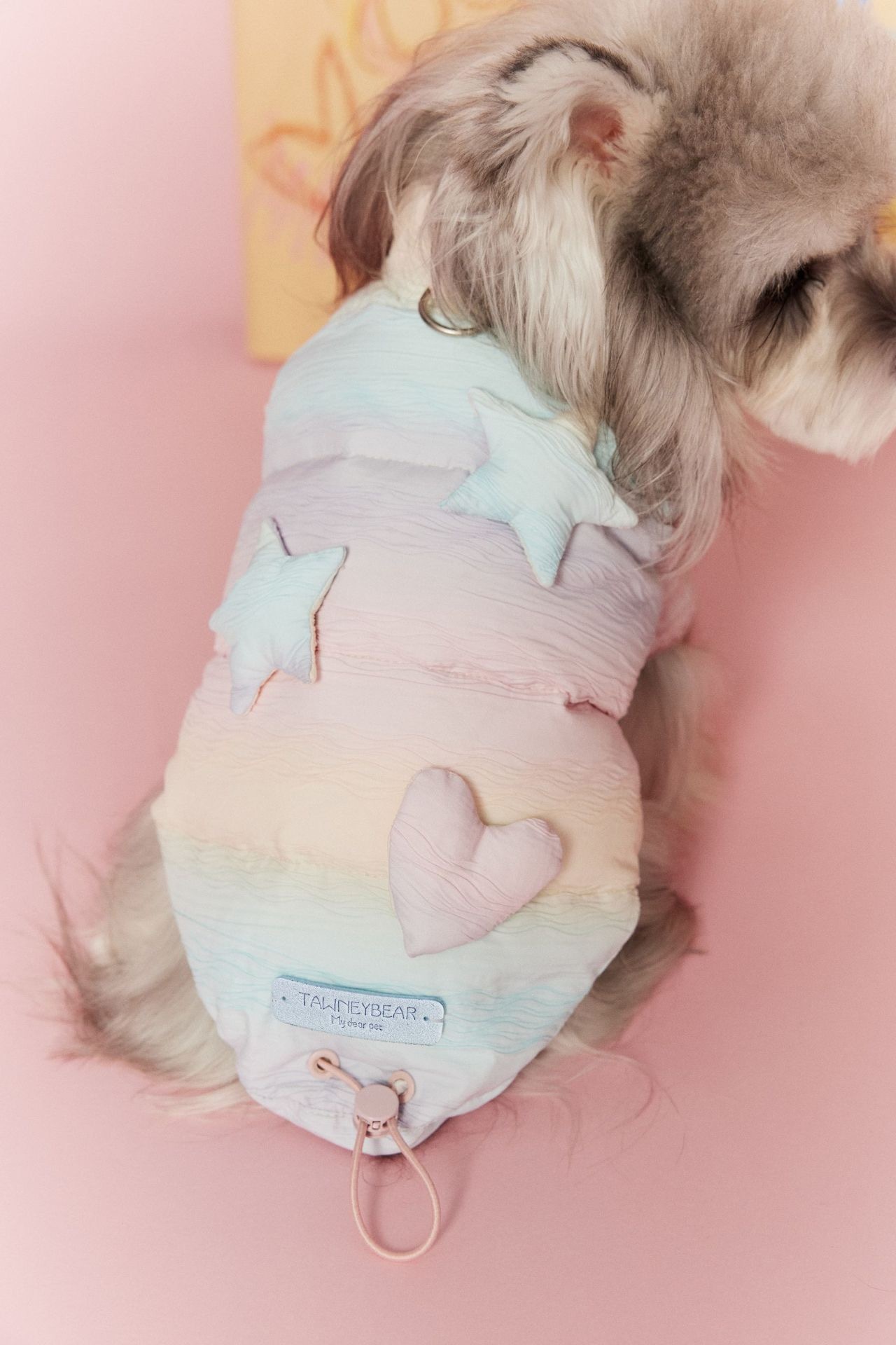 image_2698D364-63E0-4297-A1DD-3D8FC0AE0492_1767697222