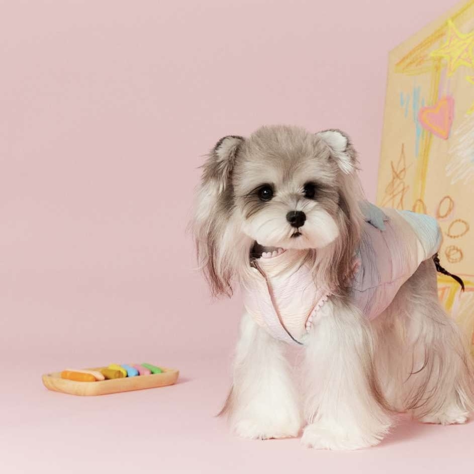 image_C434F204-0B16-4FA4-A0BD-FB96726B187D_1767697222