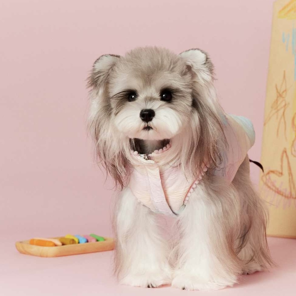 image_EA8986C6-55E9-42BD-B8B8-283310A8B86C_1767697222