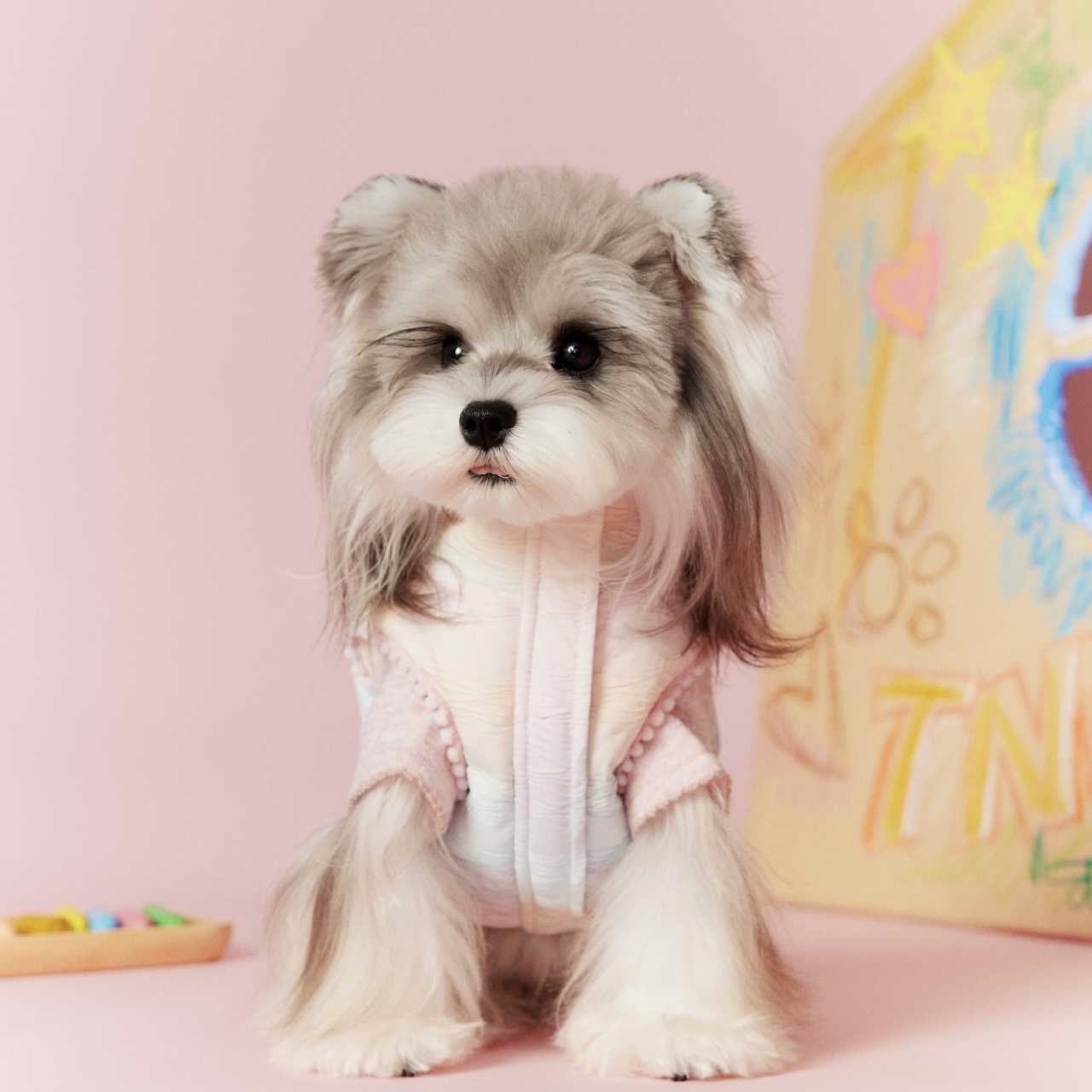 image_2EDBA455-758D-41C1-B148-473AD05DEBC5_1767697222