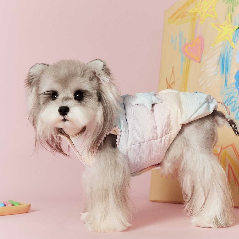 image_29F0ABCF-D320-4641-B381-DF2B1EF61984_1767697222