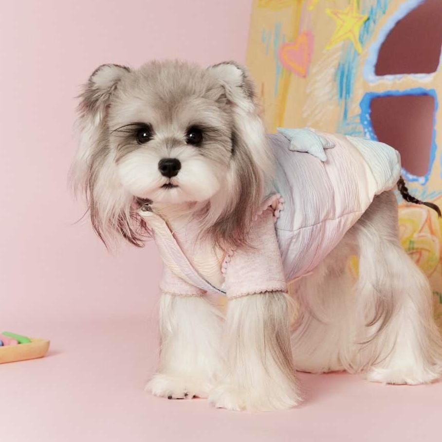 image_B2D0469A-B506-471F-A66A-C9D887FAE11C_1767697222