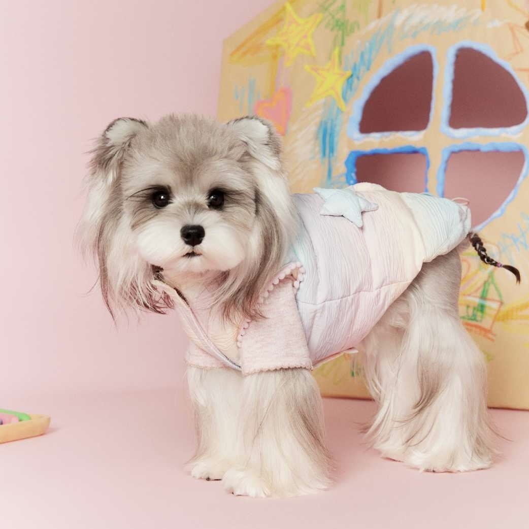 image_703A191D-77FB-4F4B-BA09-B5DDA9386467_1767697222