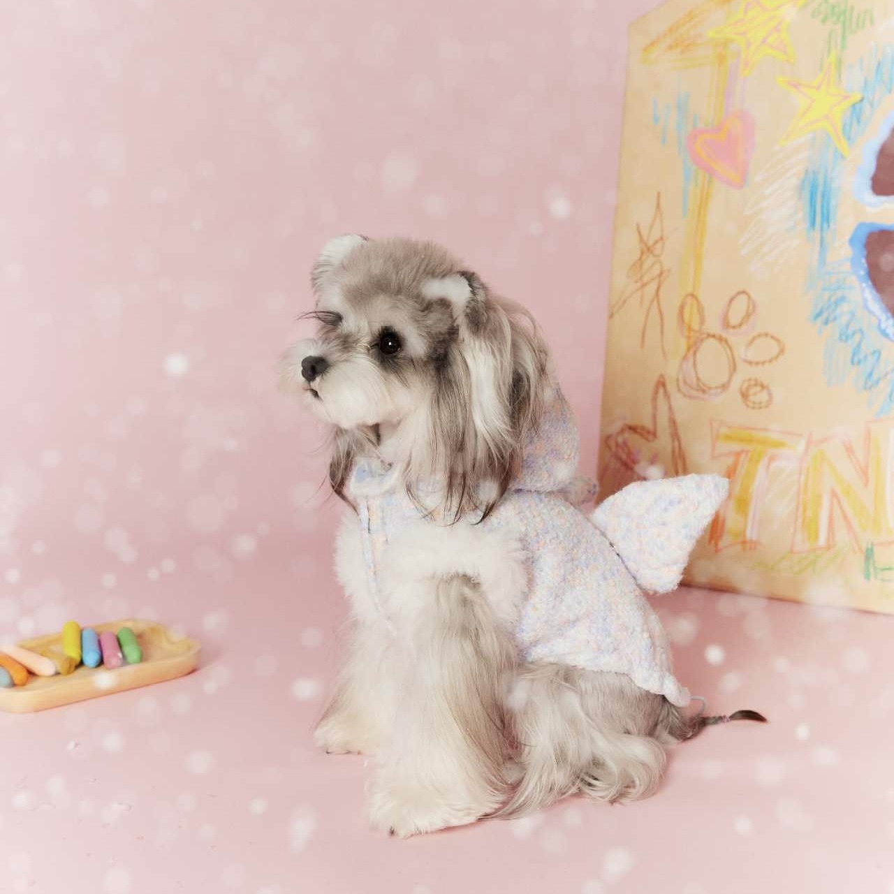 image_1E1CDCC3-5AD8-4D2F-BF32-FE88FC957F5D_1767697474