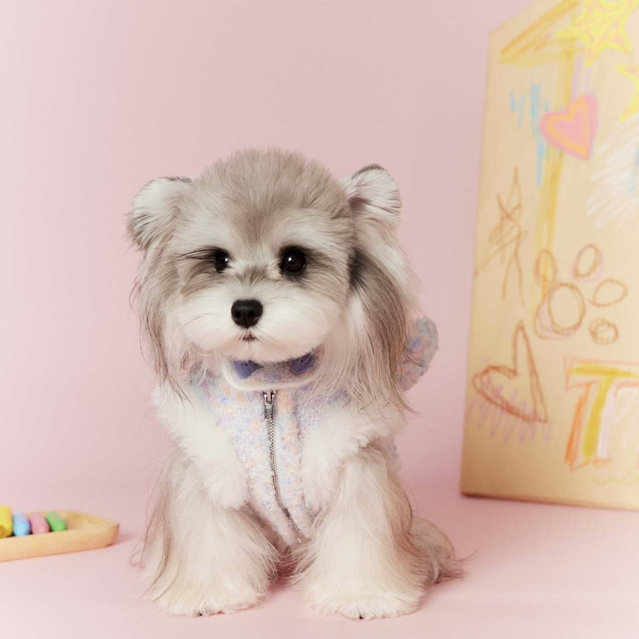 image_4A239736-AFDF-47E9-A62C-08D41E2B3F48_1767697474