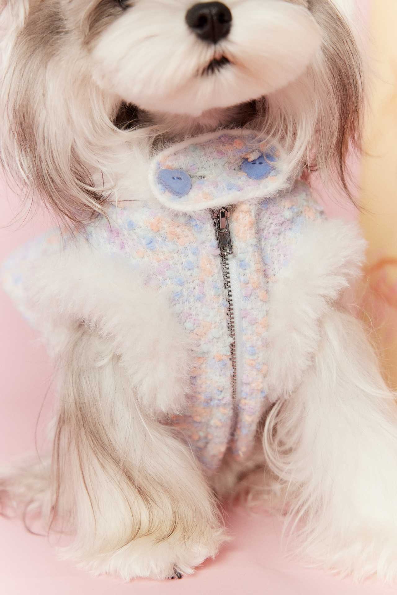 image_671F8342-D1BA-4125-A3C2-F08F956EDD04_1767697474