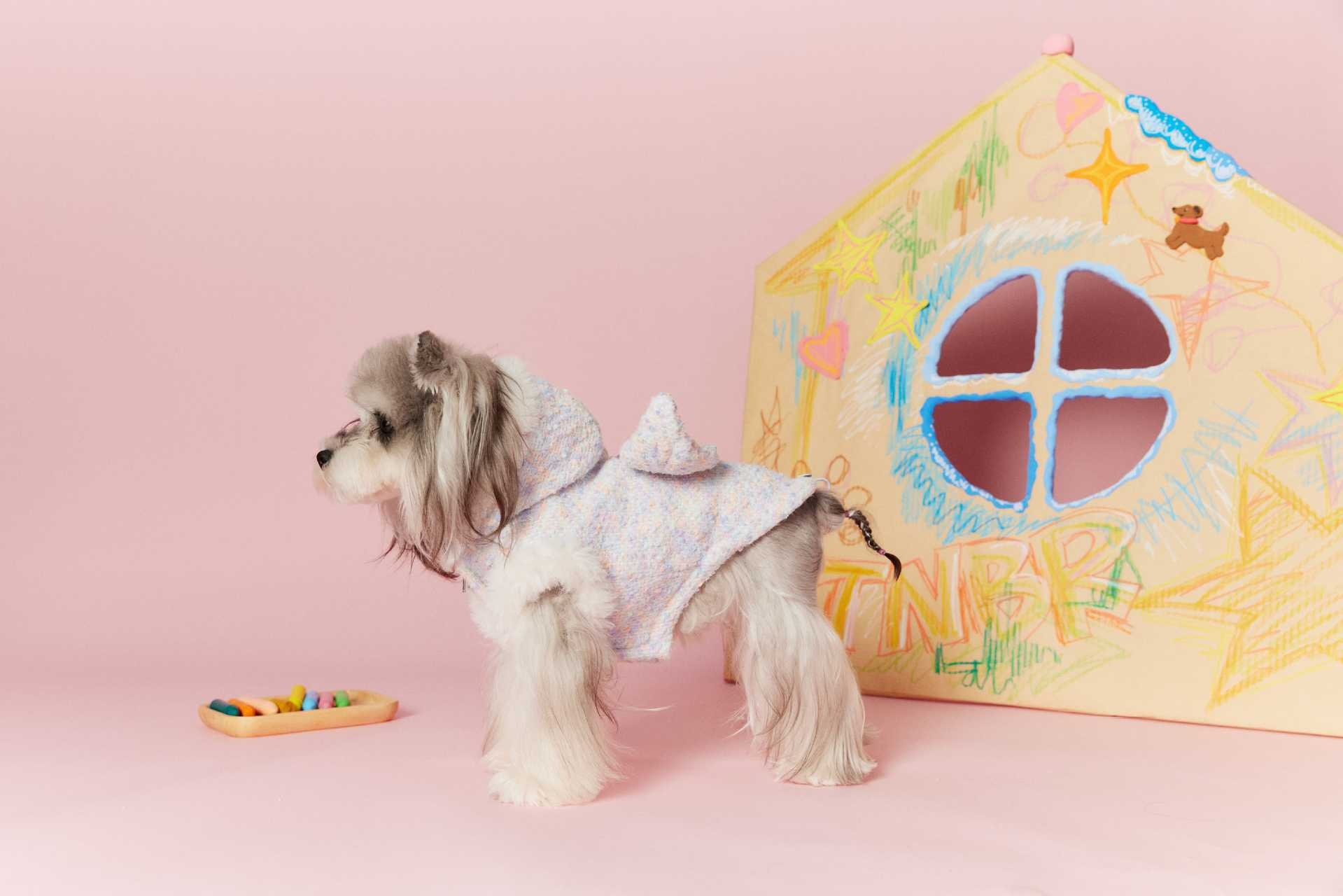 image_A821AC60-FFCD-477C-BF30-272FC1BE8194_1767697474