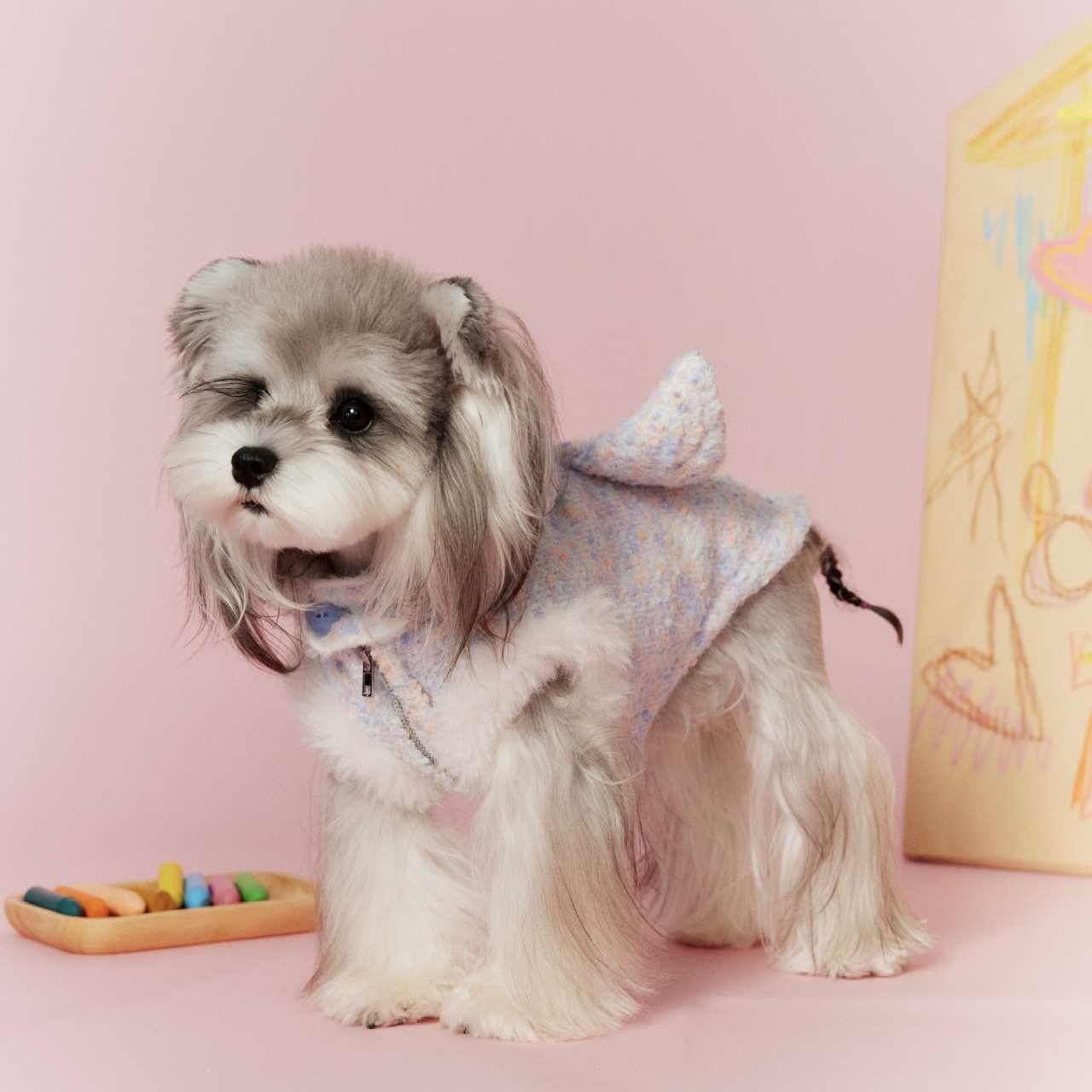 image_BC5108E2-0925-41E4-B1B5-222FA8C07866_1767697474