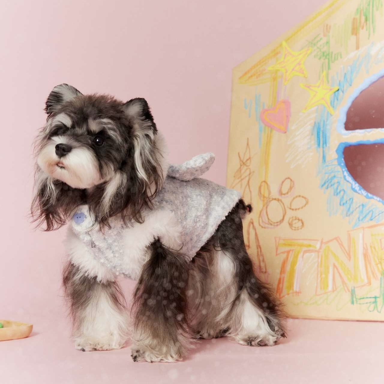 image_6080C15D-B884-4B8E-9240-EC1FA1D6312E_1767697729