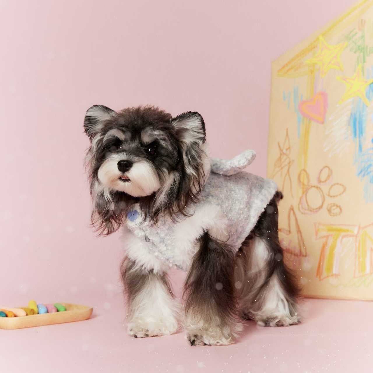 image_BB329DBA-59DD-4C69-B58F-7A1AD8384FC3_1767697729