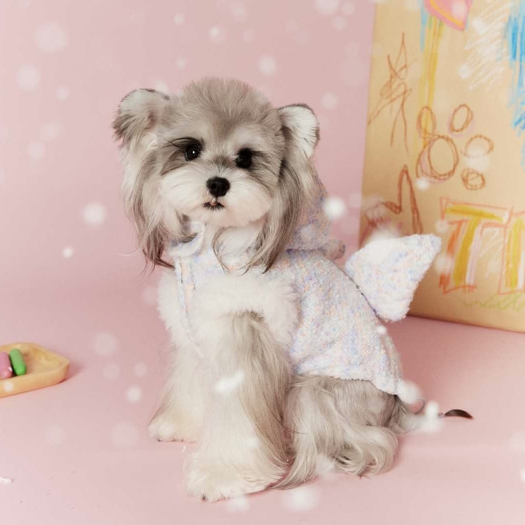 image_4EE0410D-2734-46C9-AC9B-4095D65E5A83_1767697803