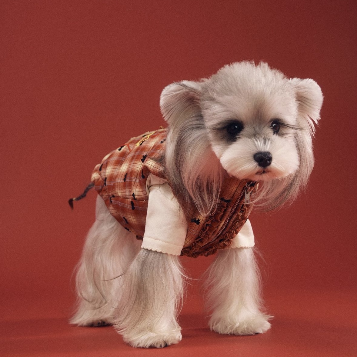 image_B94DDEDC-48F9-41EA-BE95-BB5C9787290B_1767698291