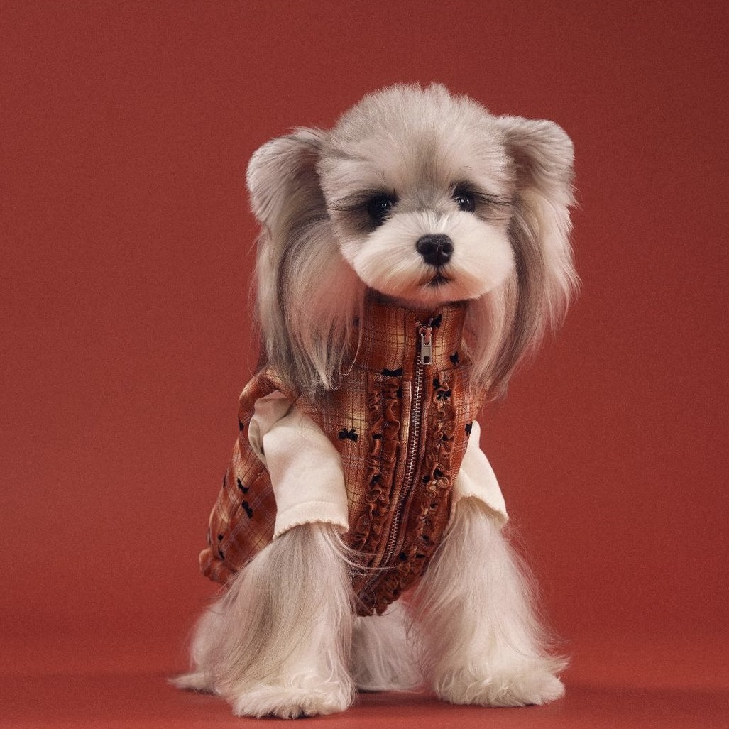 image_2A776798-ABD4-4E0A-8F20-D8A4F87E3288_1767698291