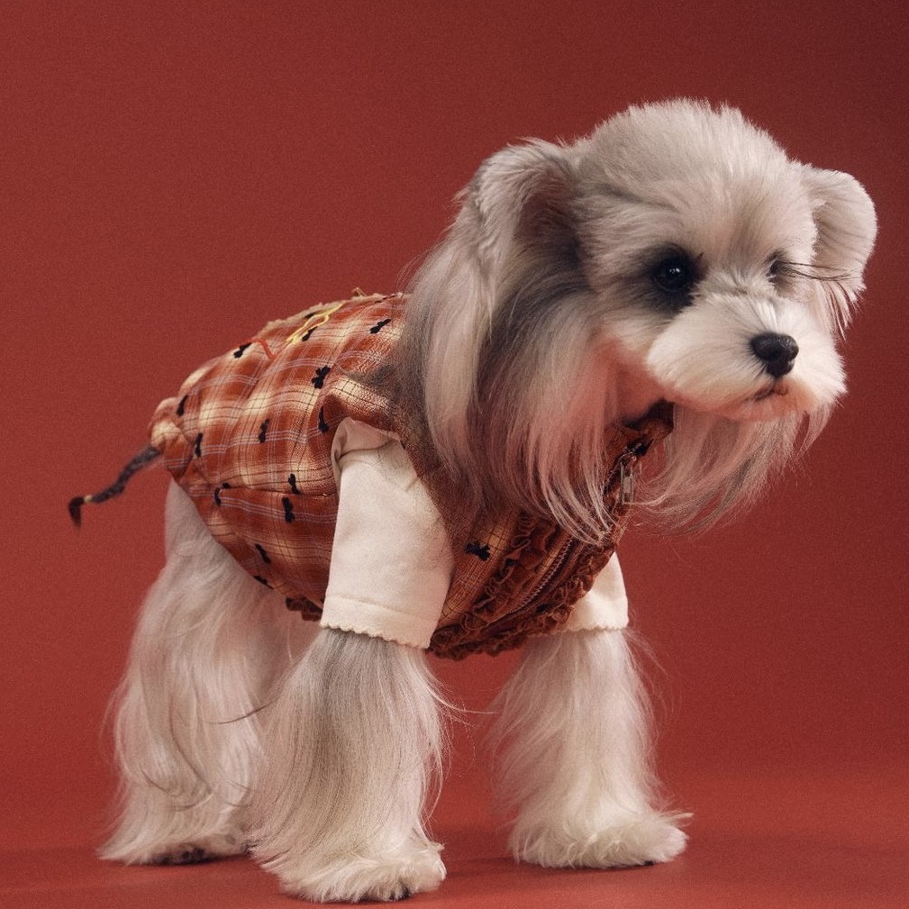 image_938C24FA-091E-490A-95C3-B261B9F36AD6_1767698291